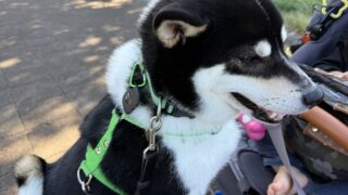 モノの位置情報が分かるスマートトラッカー、仕組みや用途を徹底解説