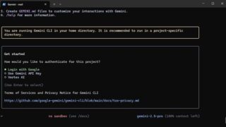 「Gemini CLI」のつかいかた ~非エンジニアでも怖くない! 黒い窓アレルギーを解消しよう
