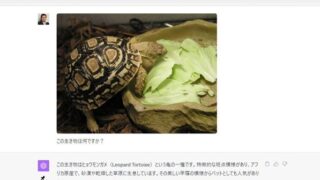 ChatGPTの新機能「GPT-4V」でアップロードした画像の内容を回答・作業してもらう