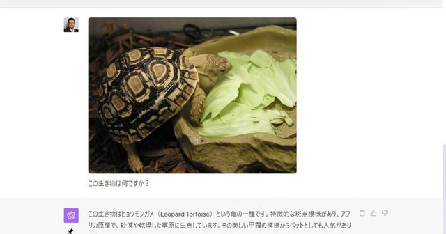 ChatGPTの新機能「GPT-4V」でアップロードした画像の内容を回答・作業してもらう
