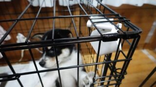 3000円以下で手に入る防水防塵ナイトビジョン対応の高性能監視カメラ活用術
