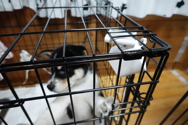 3000円以下で手に入る防水防塵ナイトビジョン対応の高性能監視カメラ活用術