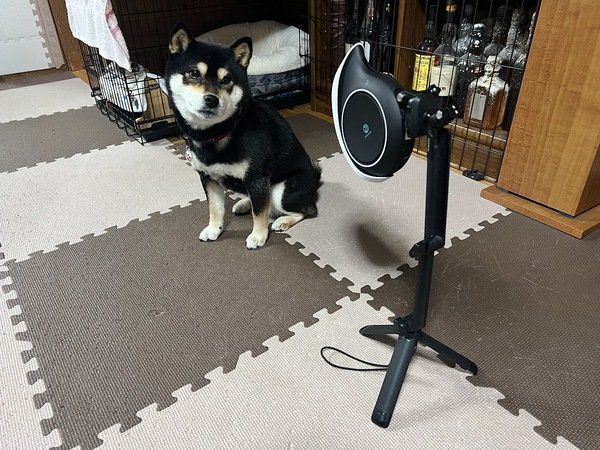 ソラコムの「S+ Camera（サープラスカメラ）」で店内の滞在人数をカウントしてみた