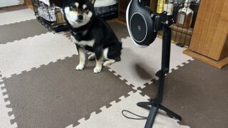 ソラコムの「S+ Camera(サープラスカメラ)」で店内の滞在人数をカウントしてみた