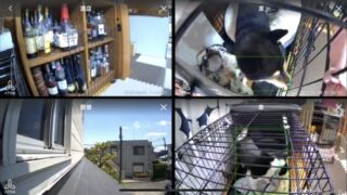 IoTカメラ「ソラカメ」で家中の映像をいつでもチェック!