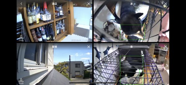 IoTカメラ「ソラカメ」で家中の映像をいつでもチェック！
