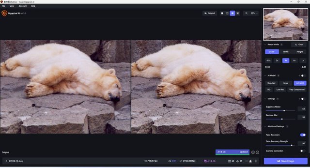 低解像度の古い写真を高画素化するAI「Topaz Gigapixel AI」で印刷品質にするワザ